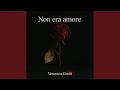 Non era amore