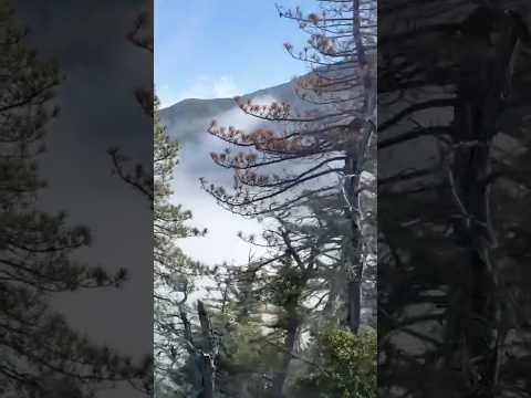 Pacific Crest Trail! About to be in a stoormmm🤣🏔️