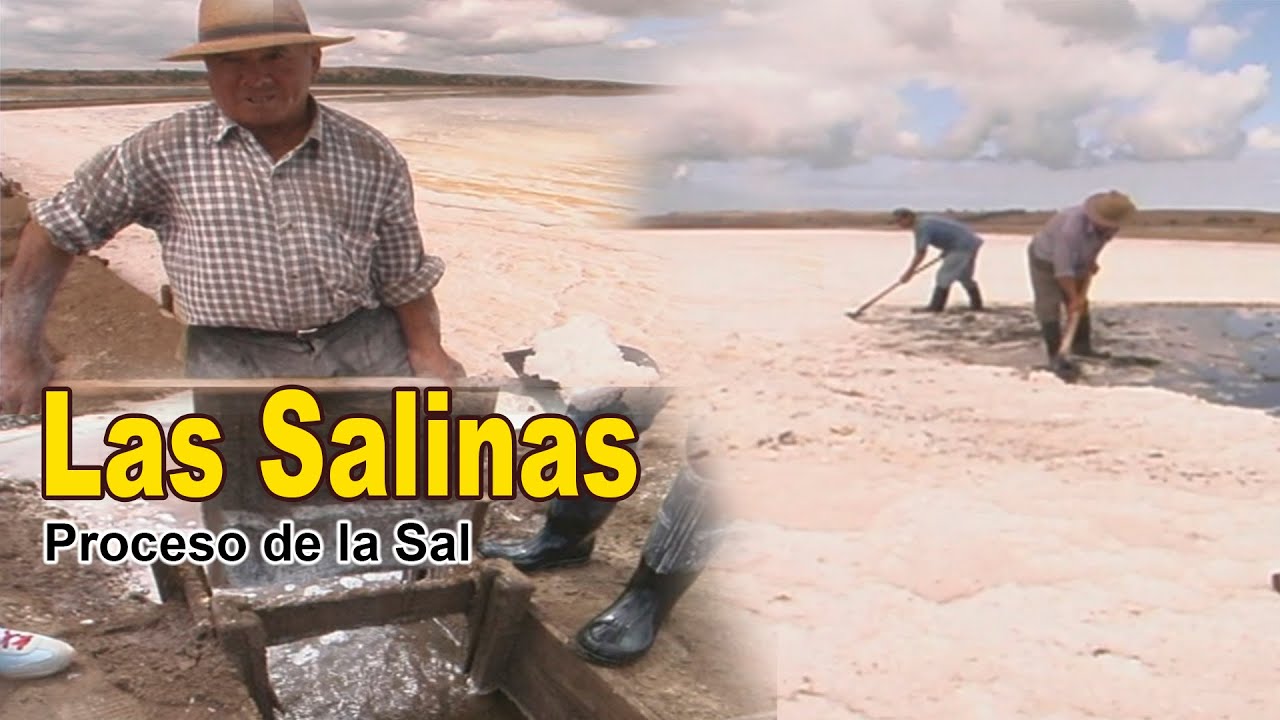 Putar video SAL DE MAR ,que es una salina y como funciona sekarang SAL DE MAR ,que es una salina y como funciona