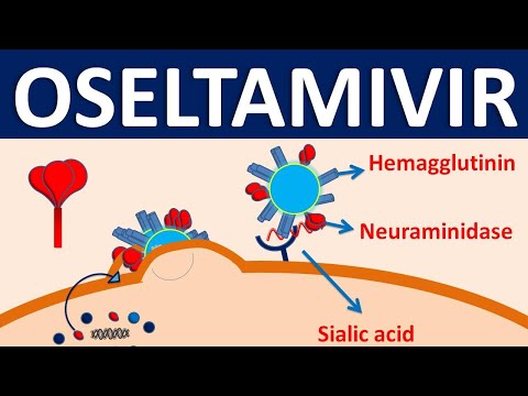 Antiflu capsule ( oseltamivir ), 75 mg