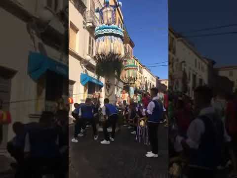 Medio falegnami 2019