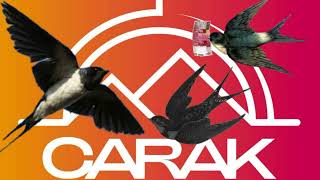 Download lagu Suara Panggil Walet Sp Bima Saka l Suara Walet Rbw Sukses l SP Bikin Onar mp3