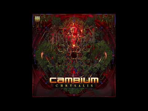 Cambium - Chrysalis