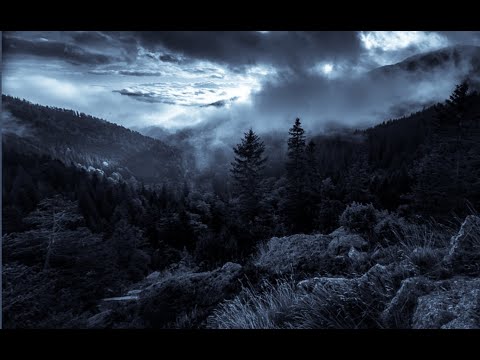 Quattro stagioni per vivere - Mauro Corona - audiolibro integrale