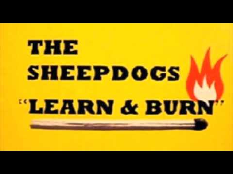 The One You Belong To - The Sheepdogs