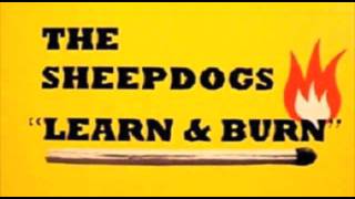 The Sheepdogs - The One You Belong To