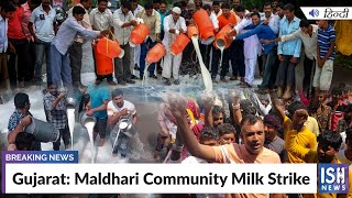 Gujarat: Maldhari Community Milk Strike