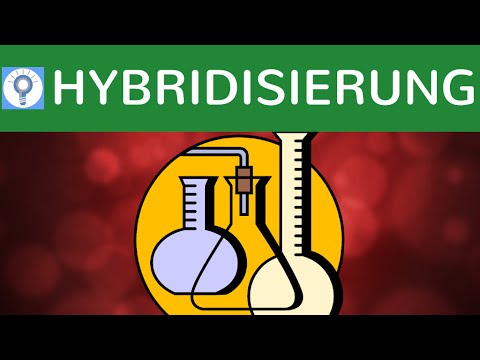 Hybridisierung & DNA-Hybridisierungsverfahren einfach erklärt - Southern-Blotting & Bsp - Analyse 2