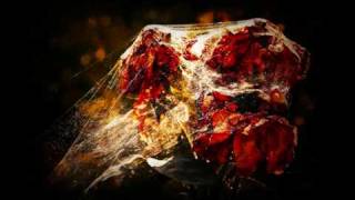 Electric Litany ~ The Roses Came