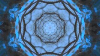 Wolfe (Steve Kilbey - Painkiller)