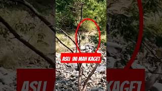 Download lagu Wujud manusia kerdil dari hutan😱 #shorts mp3