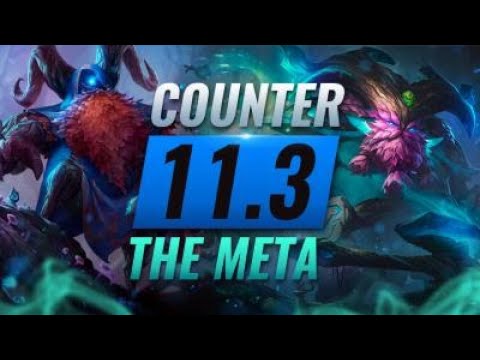 COUNTER THE META: How To DESTROY OP Champs for EVERY Role - League of Legends Patch 11.3