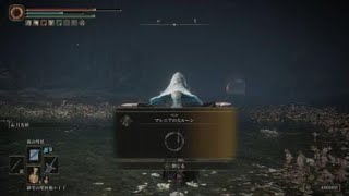 ELDEN RING_マレニア戦