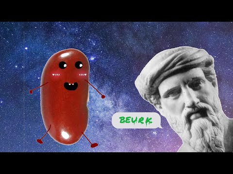 Pourquoi les PYTHAGORICIENS ne mangeaient pas de haricots ? [1/2] - InvestigaSciences#1