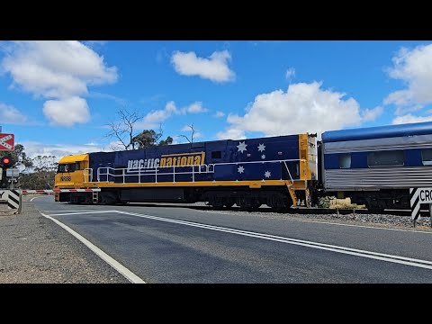 1AM8 up JBRE The Overland (NR88, 7V), Adelaide to Melbourne, 1325, 30/11/25, Dimboola VIC 