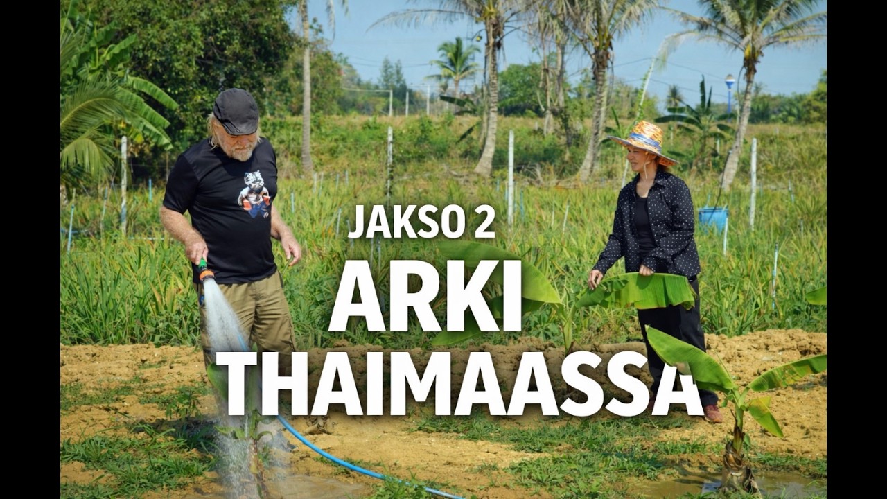 Jakso 2