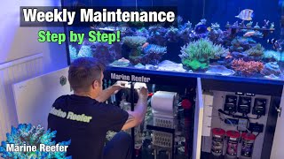 Weekly Maintenance on my Acropora Dominated Reef Tank.