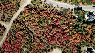 Available Lot | 40 W Cougar Run, #127 | (Available Now)