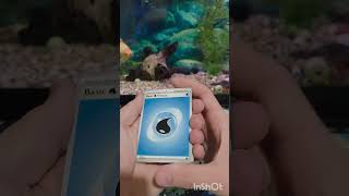 Opening a pack a day! (Day 429) #pokemon #pokemoncards