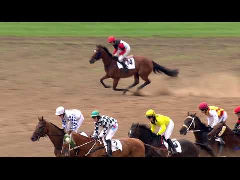 PE, 10. 8. 2019, 6. dostih - Cena společnosti K-K METAL a.s.