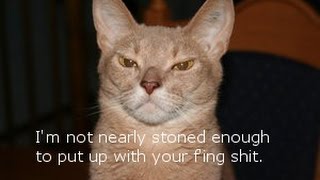 Rant! Words of a misanthrope.