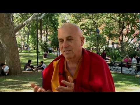 Why  Meditate? (Interview with French Buddist Matthieu Ricard)