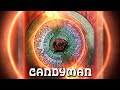 Grateful Dead - Candyman (Official Audio)