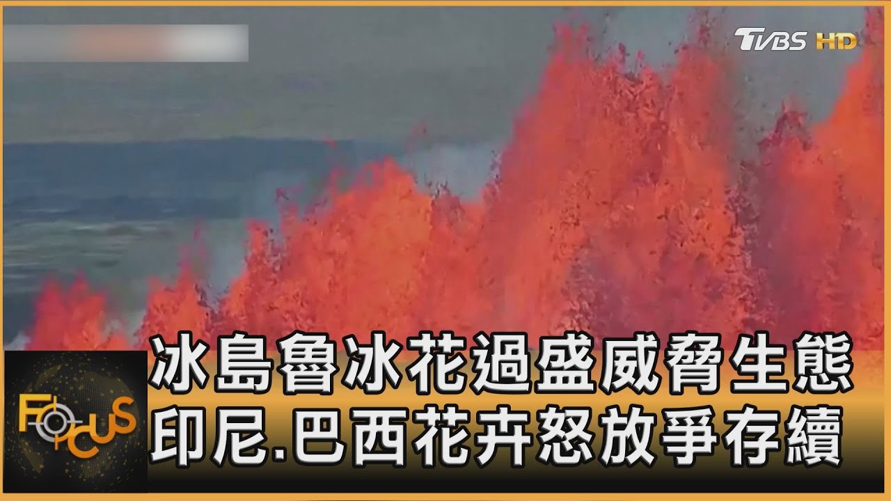 冰島魯冰花過盛威脅生態 印尼.巴西花卉綻放爭存續