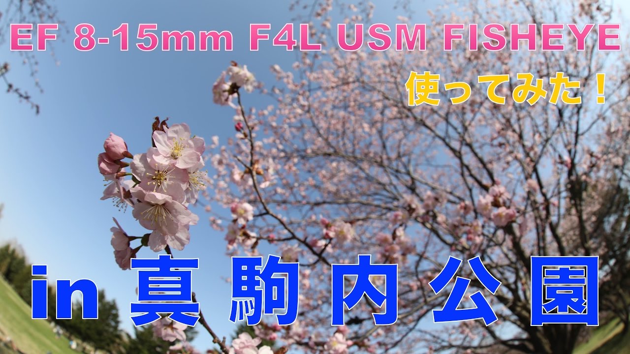 【キヤノン】EF 8-15mm F4L USM FISHEYEを使ってみた！【in真駒内公園】