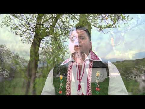 CE FOLOS, CE FOLOS- Calin Andreica