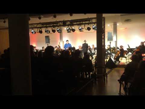 Herbert Howells ‚Elegy‘ for Viola, String Quartet and String Orchestra