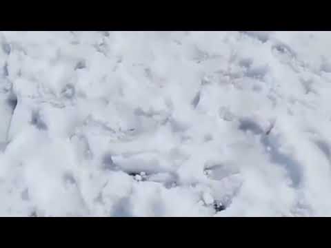 Awan kafait new vlogs #support #funny #minivlog #viralreels #nature #shortvideo 