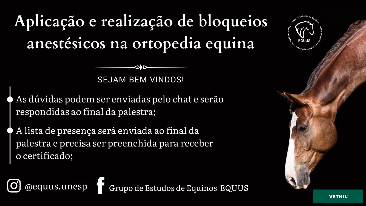 Aplicação e realização de bloqueios anestésicos na ortopedia equina - M.V. Júlio César Paganela