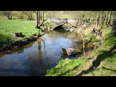 #211 Panzerwracks M41 Walker Bulldog Panzer, M47 Patton Panzer. 52078 Aachen, Deutschland