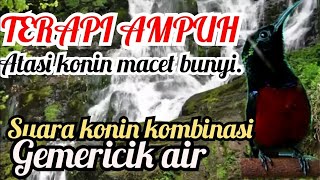 Download lagu Terapi Konin agar cepat gacor dengan Suara Gemericik air mp3