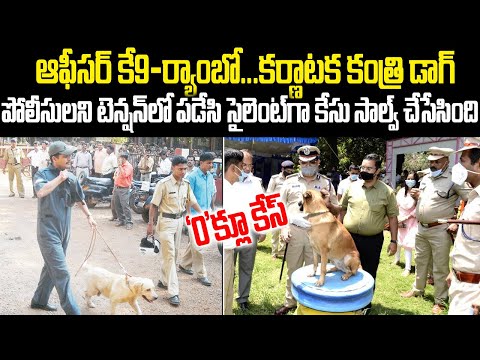 K9 ర్యాంబో..కర్ణాటక కంత్రి పోలీస్ డాగ్: జీరో క్లూ కేసుని ఎలా సాల్వ్ చేసిందో తెలుసా? | Rambo DOG | TW