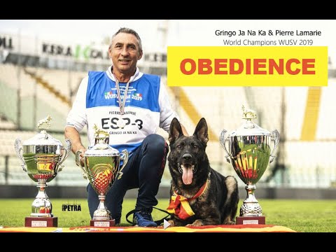 Mr. Pierre Lamarie and Gringo and Ja Na Ka -  Winner 2019 WUSV WM IGP World Cup B