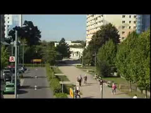 Hinweis: Sperrungen durch Stadtfest - ELSTERWELLE