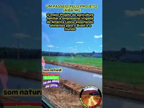 ZÉCA MATUTO DA SELVA EM PROJETO JAÍBA-MG+BRAZIL ##reportagens #vidanosertão