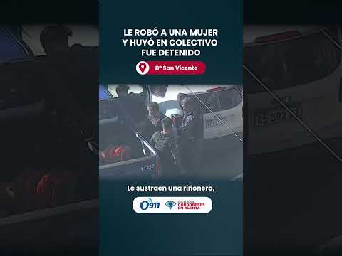 B° San Vicente 📢 Le robó a una mujer y huyó en colectivo: fue detenido
