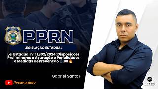 PPRN: Lei Estadual nº 11.902/2024 — Disposições, Penalidades e Prevenção ⚖️📖🔥