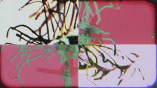 Black Market Karma – “Stepping Loose”