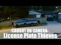 License Plate Theft Caught On Camera In Surrey License Plate Theft Caught On Camera In Surrey