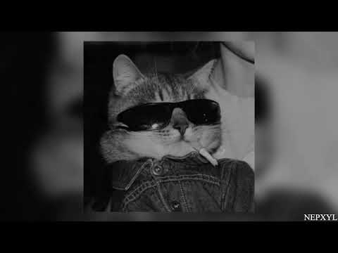 Bagaicha - Ktaharu (speed up)