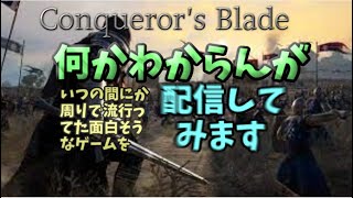 征服せし者の「Conqueror's Blade」深夜配信