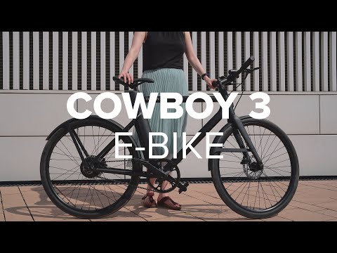 Neues E-Bike für Straße oder Prärie?  | Cowboy 3 im Test | Computer Bild [deutsch]