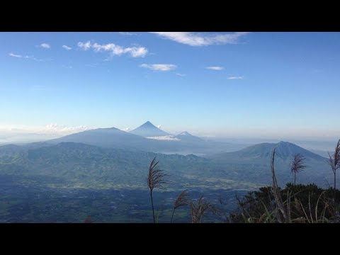 Perfect view of Mt.Mayon in Mt.Isarog -Patag patag trail