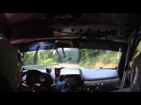 Rally Circuito di Cremona 2013 Camera Car Sassi - Manghera, FIAT PUNTO S1600