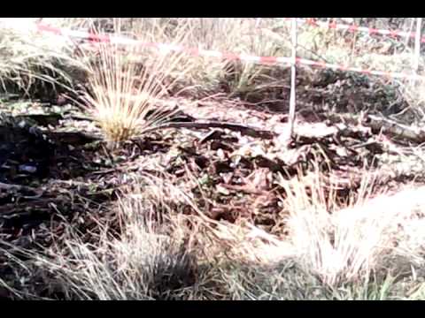 offroad Ruurlo (1) 2012.avi