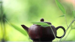 Ascience - Green Tea!